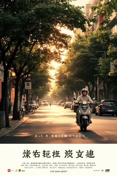 平凡之路电影海报