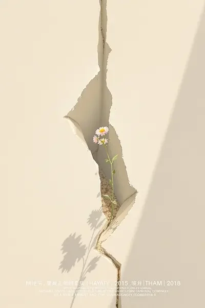 至简至真电影海报